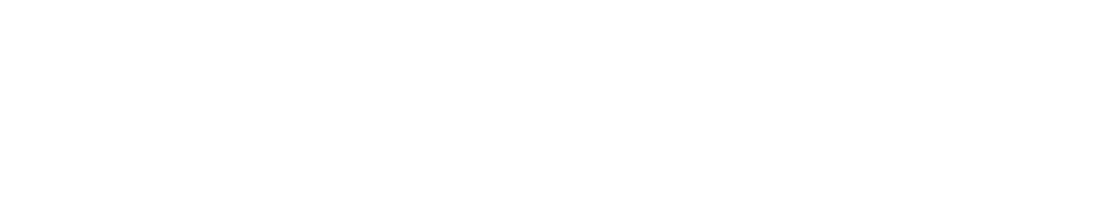 AMMO